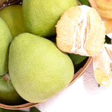 40年老欉文旦禮盒